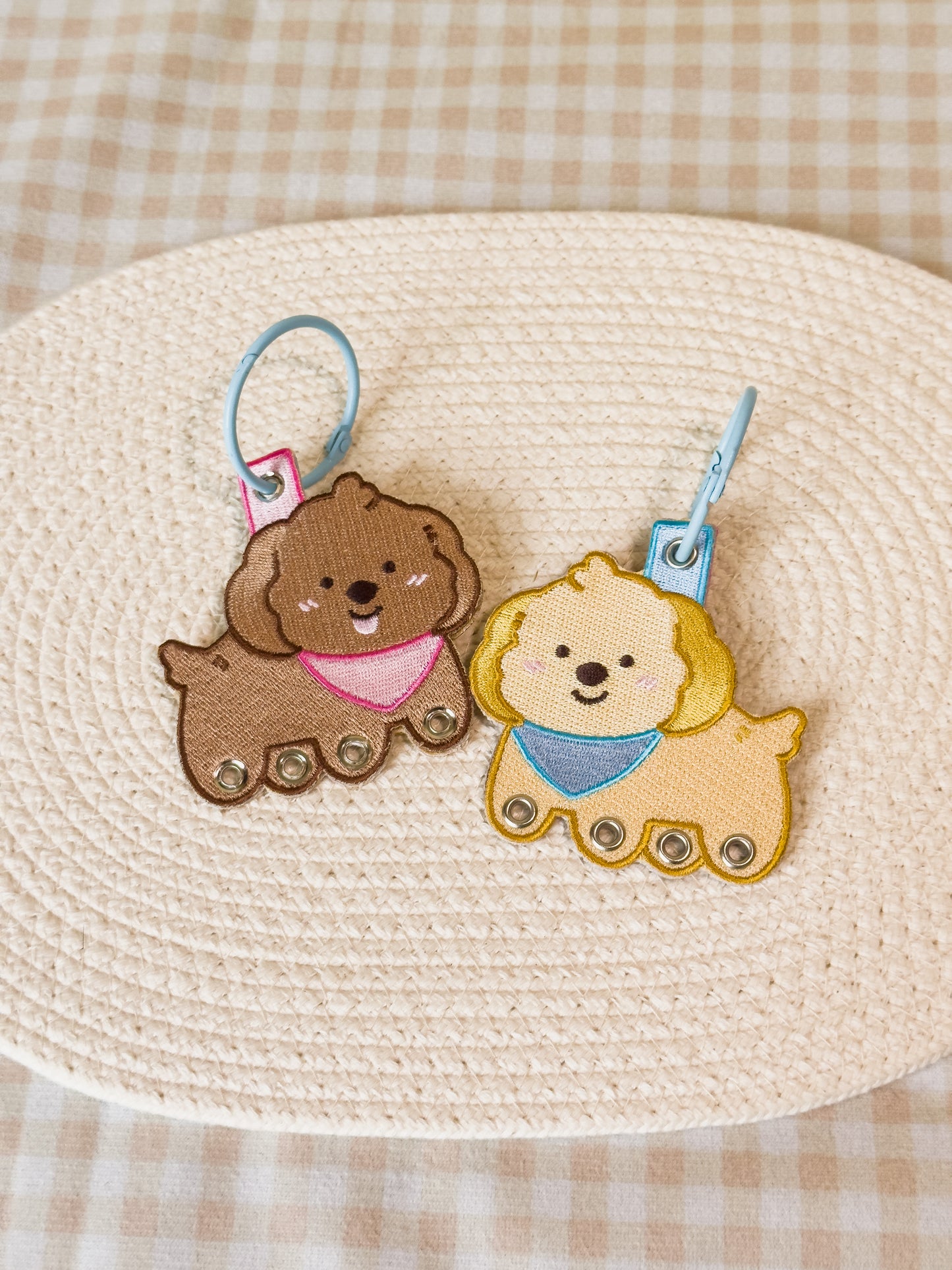 Kiwi Kaya Keychain Holder