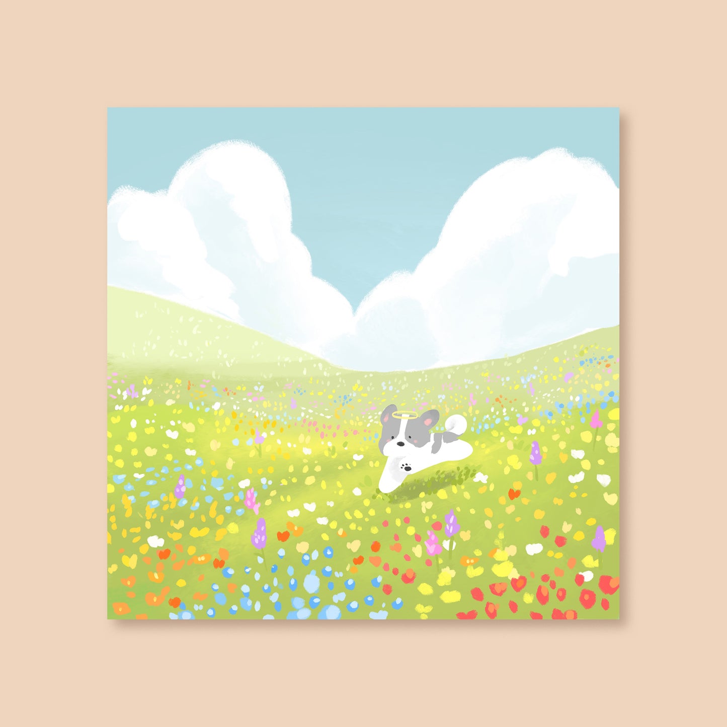 Meadow Postcard