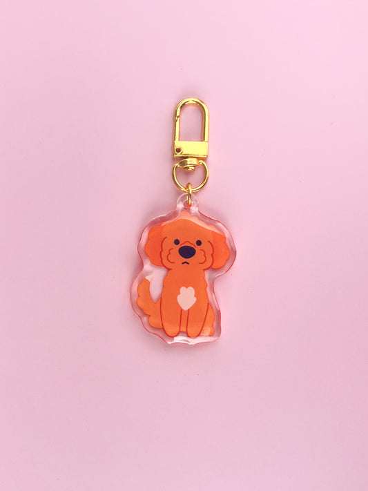 Kiwi (Cavapoo) 2 Keychain