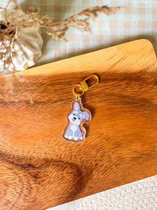 Curious Schnauzer Keychain