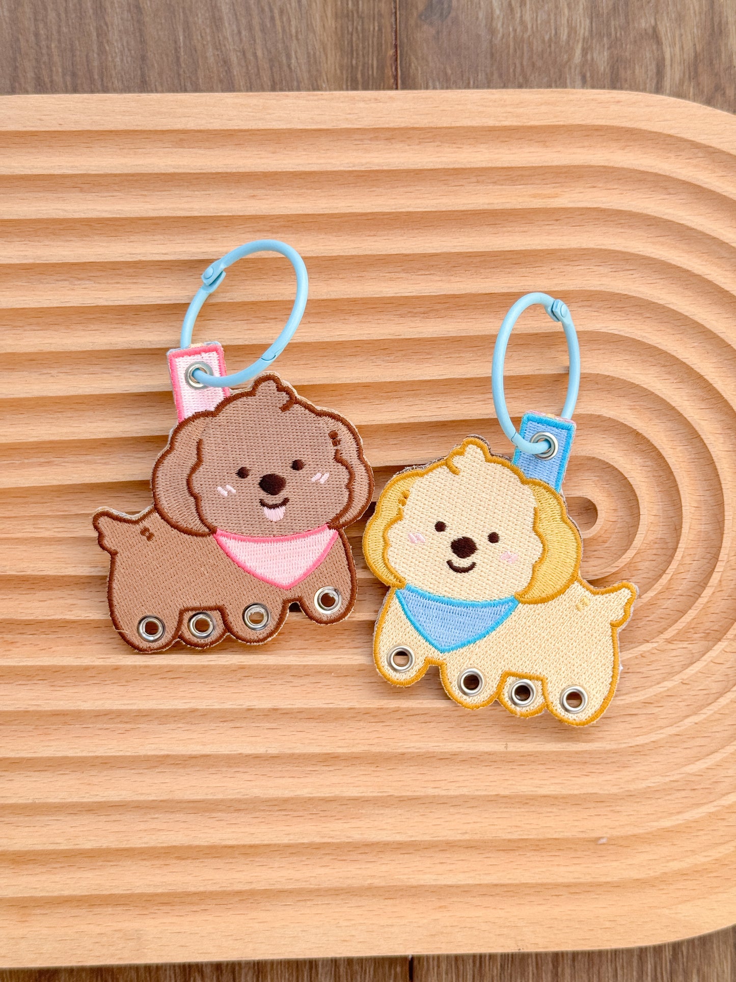 Kiwi Kaya Keychain Holder